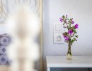 vainas belvedere villa skopelos greece  